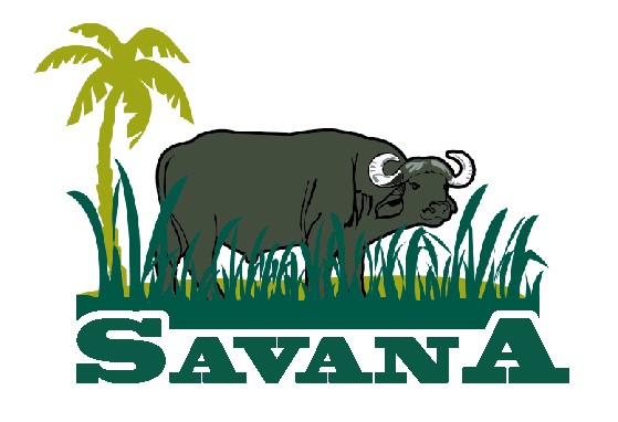 cropped-SavanA-logo.jpg
